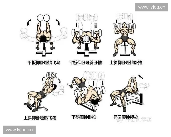 全面探索多种运动器材在日常健身训练中的科学使用方法与选择指南